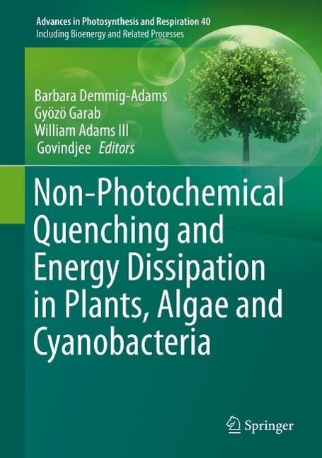 Produktbild: Non-Photochemical Quenching and Energy Dissipation in Plants, Algae and Cyanobacteria