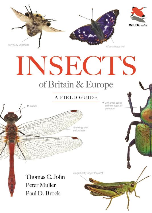 Produktbild: Insects of Britain and Europe
