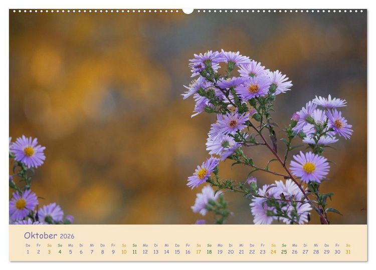 Produktbild: Naturwunder Bl&uuml;ten (hochwertiger Premium Wandkalender 2026 DIN A2 quer), Kunstdruck in Hochglanz