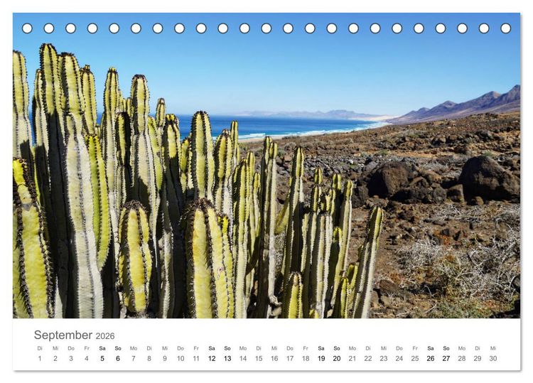 Produktbild: Fuerteventura - die W&uuml;steninsel der Kanaren (Tischkalender 2026 DIN A5 quer), CALVENDO Monatskalender
