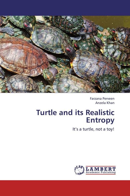Produktbild: Turtle and its Realistic Entropy