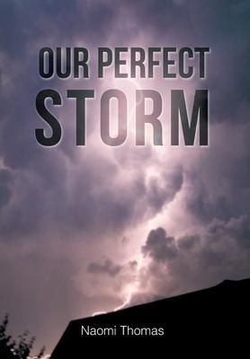 Produktbild: Our Perfect Storm