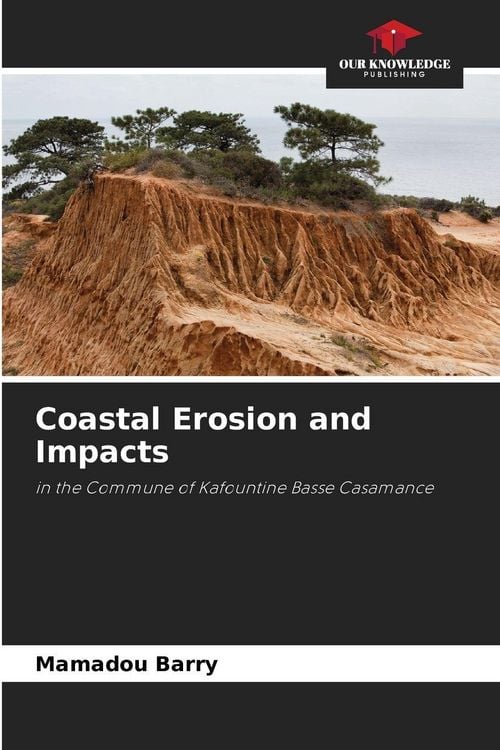 Produktbild: Coastal Erosion and Impacts