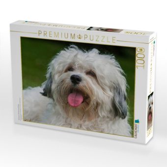 Produktbild: CALVENDO Puzzle Havaneser Portr&auml;t eines R&uuml;den | 1000 Teile Lege-Gr&ouml;&szlig;e 64x48cm Foto-Puzzle f&uuml;r gl&uuml;ckliche Stunden