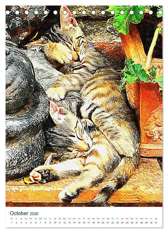 Produktbild: Umbrian Cats (Desk Calendar 2026 DIN A5 portrait), CALVENDO 12 Month DeskCalendar