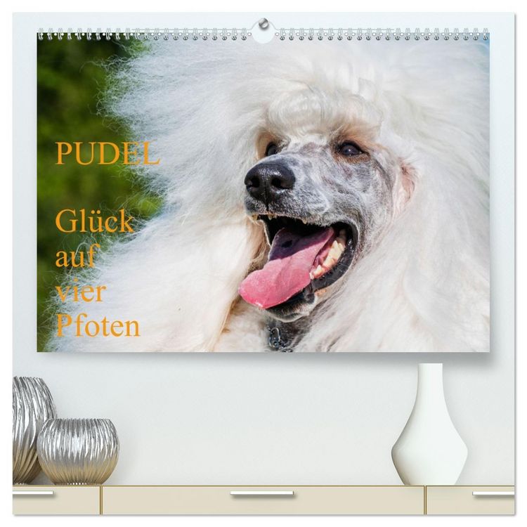 Produktbild: Pudel - Gl&uuml;ck auf vier Pfoten (hochwertiger Premium Wandkalender 2026 DIN A2 quer), Kunstdruck in Hochglanz