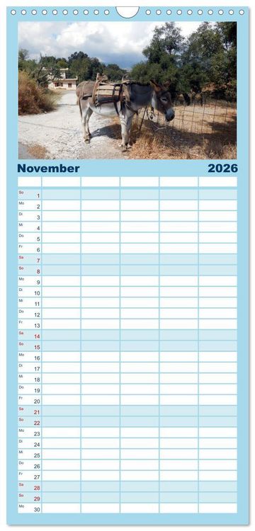Produktbild: Familienplaner 2026 - Kreta - Griechischer Inseltraum mit 5 Spalten (Wandkalender, 21 x 45 cm) CALVENDO