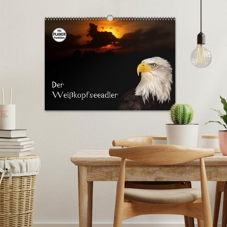 Produktbild: Der Wei&szlig;kopfseeadler (Wandkalender 2026 DIN A3 quer), CALVENDO Monatskalender