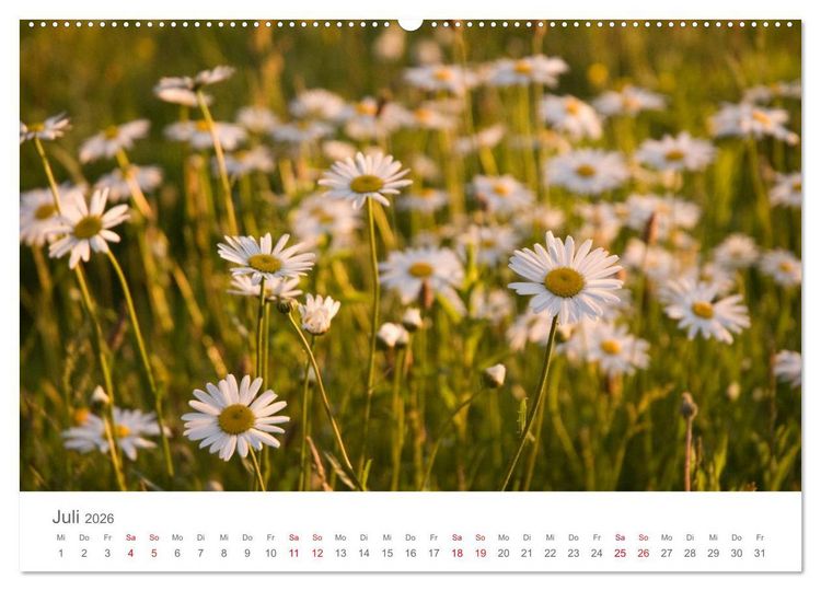 Produktbild: Nordisch gut - Schweden (Wandkalender 2026 DIN A2 quer), CALVENDO Monatskalender