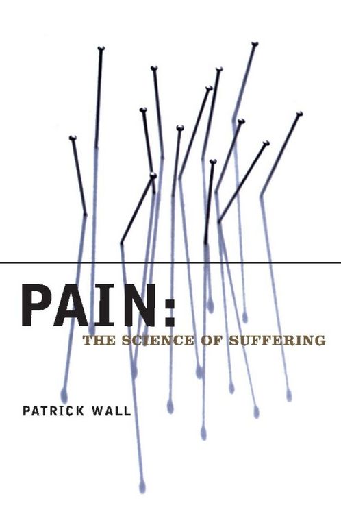 Produktbild: Pain