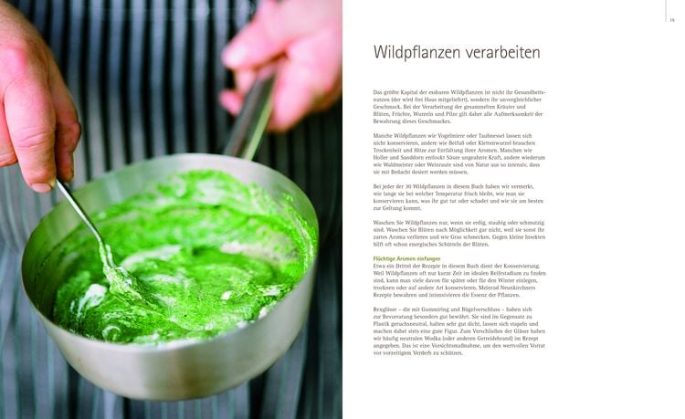 Produktbild: So schmecken Wildpflanzen