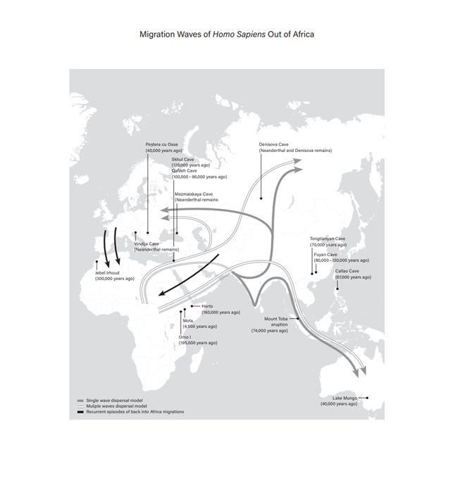 Produktbild: The True Size of Africa
