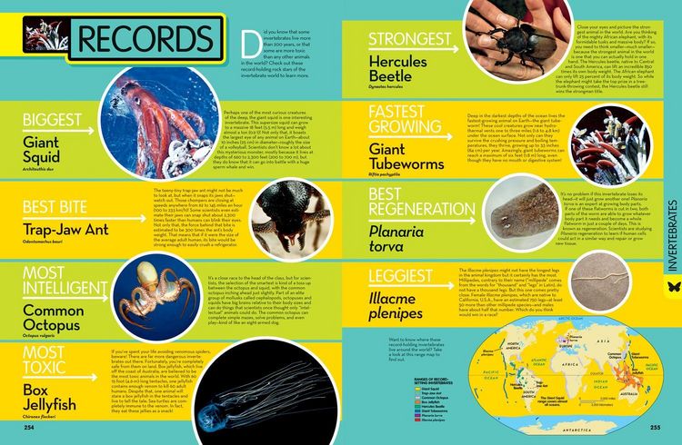 Produktbild: Animal Encyclo_national Ie Hb