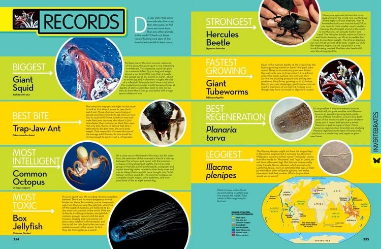 Produktbild: Animal Encyclopedia