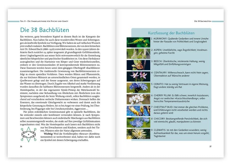 Produktbild: Hom&ouml;opathische Symbolapotheke &ndash; Psyche und Gem&uuml;t
