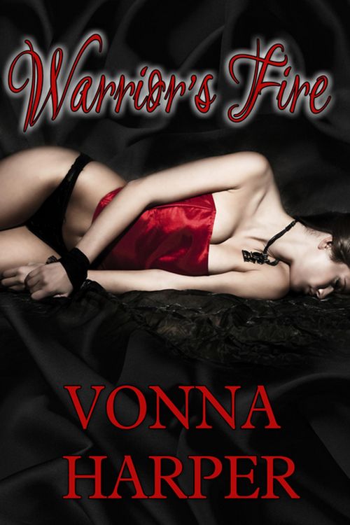 Produktbild: Warrior's Fire