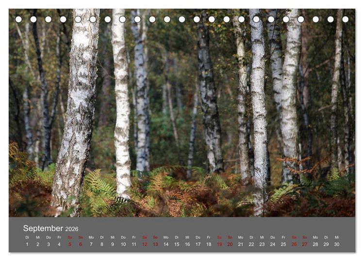 Produktbild: Wahner Heide - Aussichten und Begegnungen (Tischkalender 2026 DIN A5 quer), CALVENDO Monatskalender