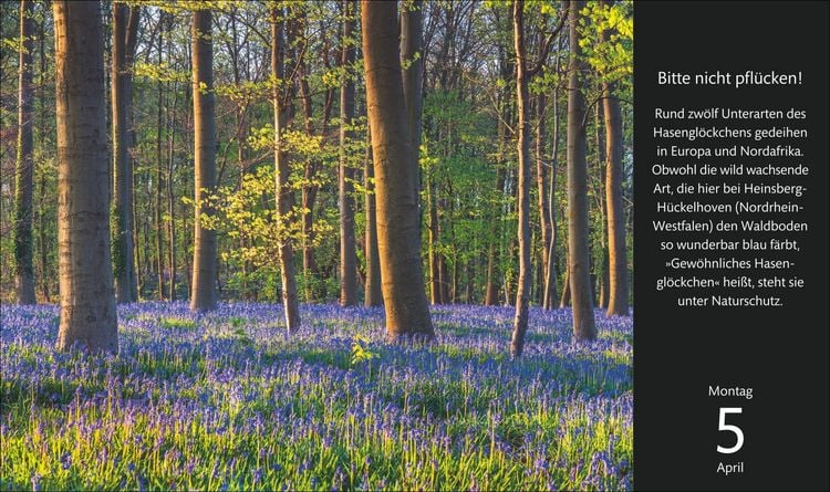 Produktbild: Eine Reise durch Deutschland Premiumkalender 2027 - 365 faszinierende Fotografien
