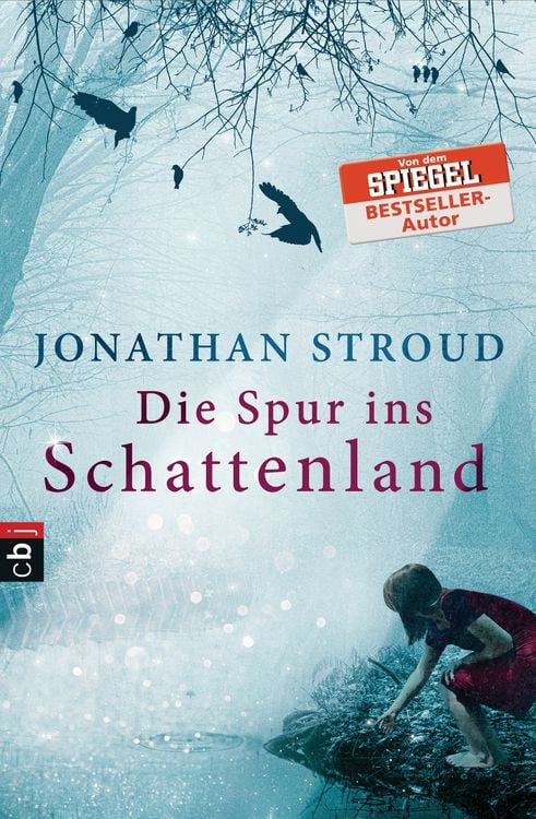 Produktbild: Die Spur ins Schattenland