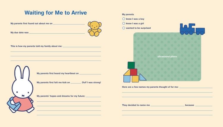 Produktbild: Miffy Baby Book