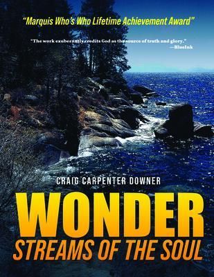 Produktbild: Wonder Streams of the Soul