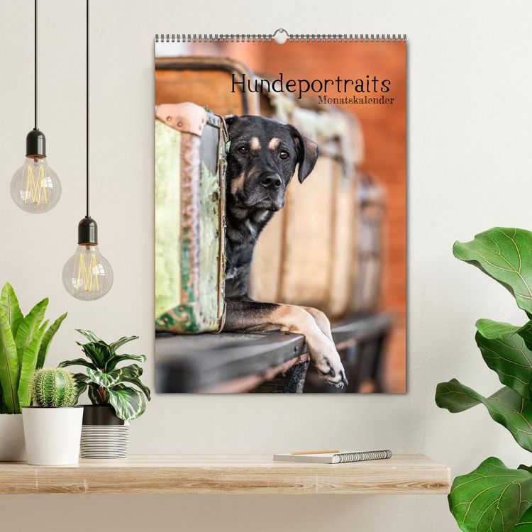 Produktbild: Hundeportraits - Monatskalender (Wandkalender 2026 DIN A2 hoch), CALVENDO Monatskalender