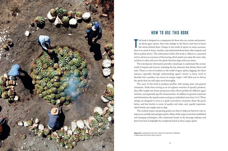 Produktbild: The Essential Tequila & Mezcal Companion