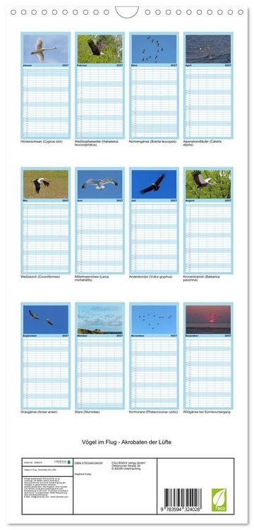 Produktbild: Familienplaner 2027 - V&ouml;gel im Flug - Akrobaten der L&uuml;fte mit 5 Spalten (Wandkalender, 21 x 45 cm) CALVENDO