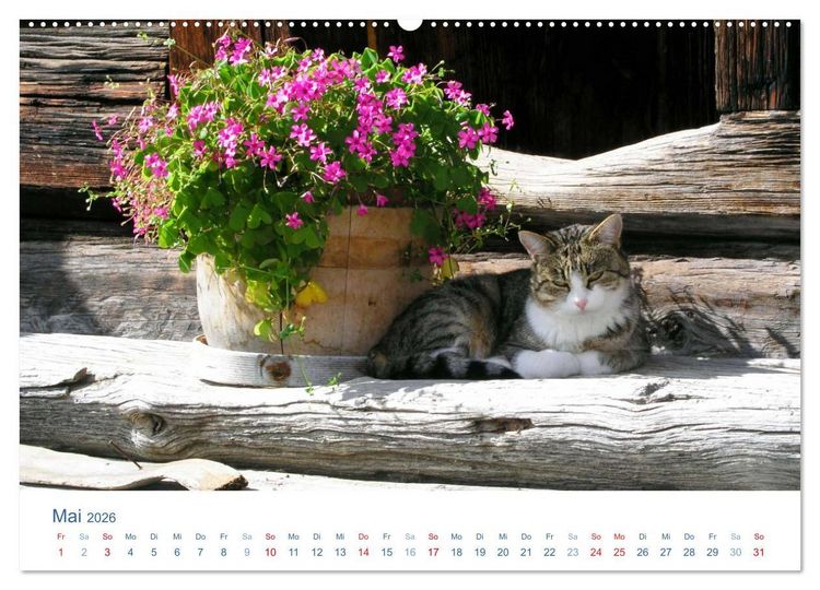 Produktbild: Tierisches Leben auf dem Bauernhof 2026 (Wandkalender 2026 DIN A2 quer), CALVENDO Monatskalender