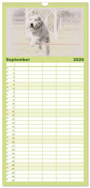 Produktbild: Familienplaner 2026 - Franz&ouml;sische Hirtenhunde 2026 mit 5 Spalten (Wandkalender, 21 x 45 cm) CALVENDO