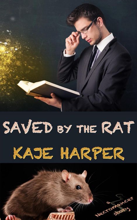 Produktbild: Saved by the Rat