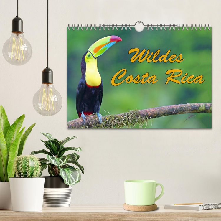 Produktbild: Wildes Costa Rica (Wandkalender 2026 DIN A4 quer), CALVENDO Monatskalender