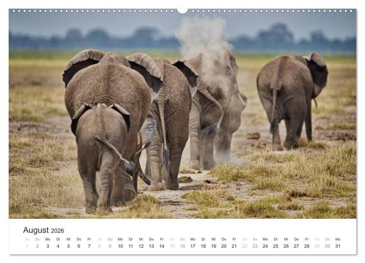 Produktbild: Elefanten - Sanfte Riesen in Afrika (hochwertiger Premium Wandkalender 2026 DIN A2 quer), Kunstdruck in Hochglanz