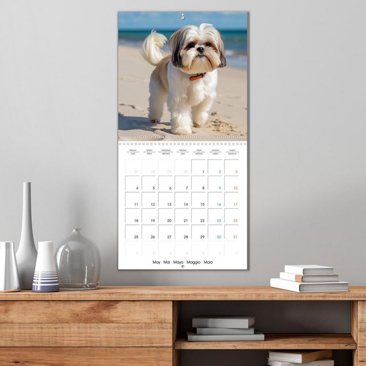 Produktbild: Portraits de petits chiens (Calendrier mural carr&eacute; 2026 30x30 cm) Calendrier double avec une page pour vos prises de notes