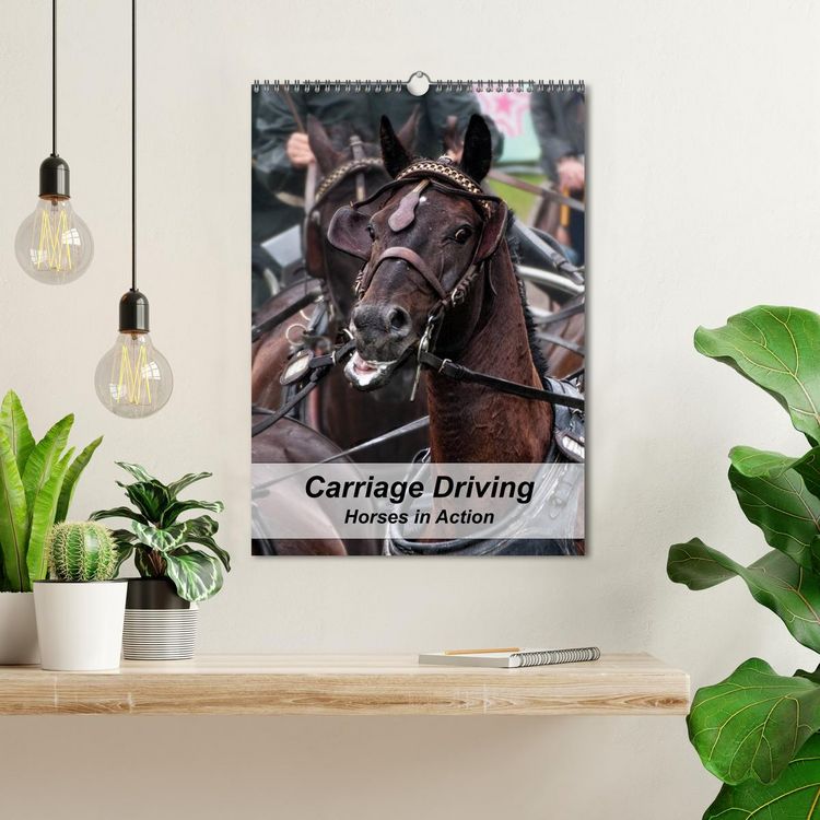 Produktbild: Carriage Driving - Horses in Action (Wall Calendar 2026 DIN A3 portrait), CALVENDO 12 Month Wall Calendar