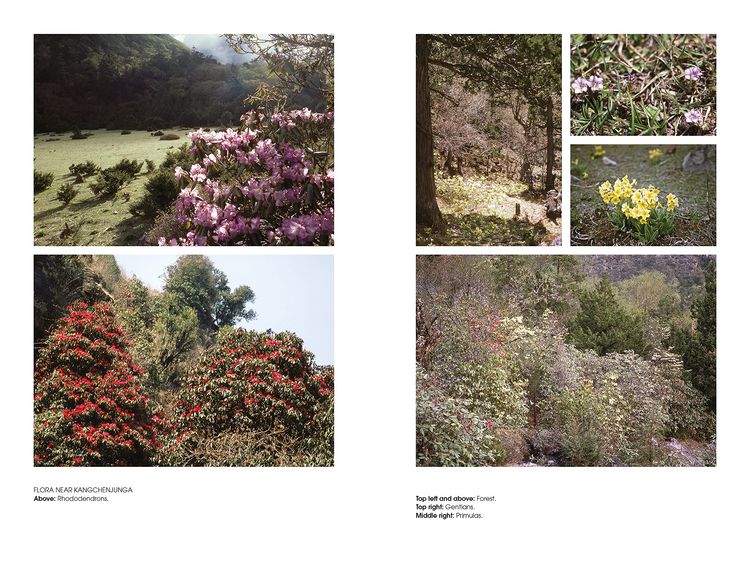 Produktbild: Kangchenjunga