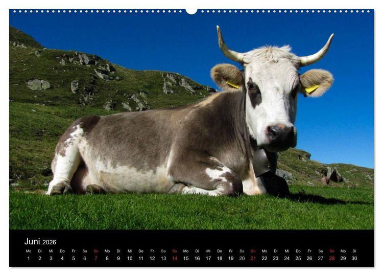 Produktbild: Grande Traversata delle Alpi - Wandern auf der GTA (hochwertiger Premium Wandkalender 2026 DIN A2 quer), Kunstdruck in Hochglanz