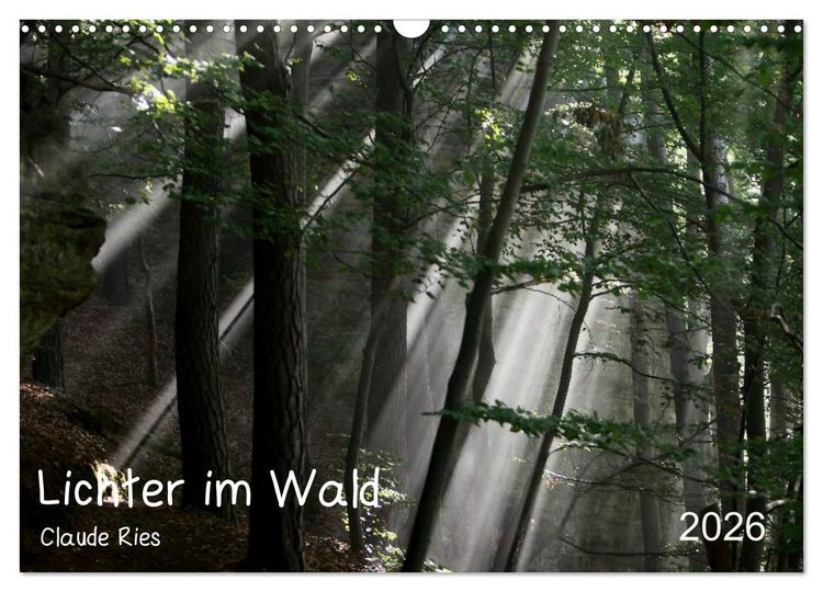 Produktbild: Lichter im Wald (Wandkalender 2026 DIN A3 quer), CALVENDO Monatskalender