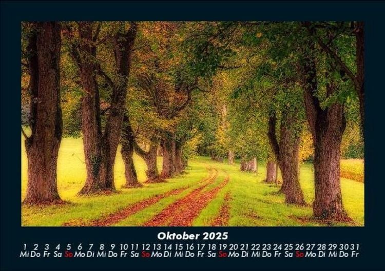 Produktbild: B&auml;ume 2025 Fotokalender DIN A5