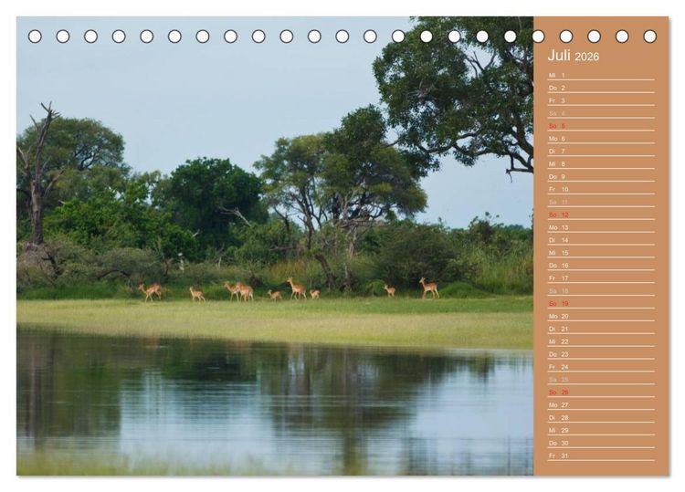 Produktbild: Afrika - Faszinierende Tierwelt (Tischkalender 2026 DIN A5 quer), CALVENDO Monatskalender