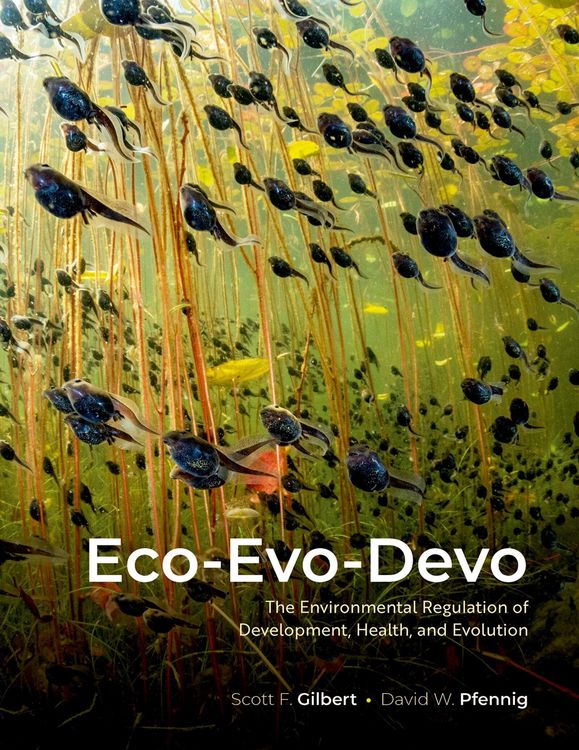 Produktbild: Eco-Evo-Devo