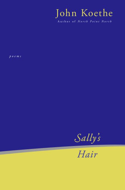 Produktbild: Sally's Hair: Poems