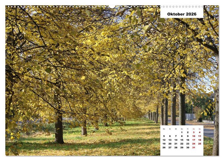Produktbild: Vorsfelde (Wandkalender 2026 DIN A2 quer), CALVENDO Monatskalender