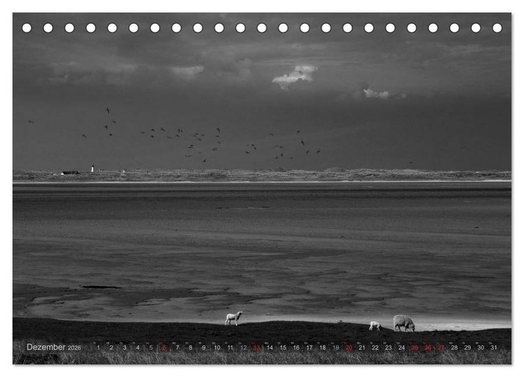 Produktbild: 54&deg;54'57"N 8&deg;19'51"E SYLT (Tischkalender 2026 DIN A5 quer), CALVENDO Monatskalender
