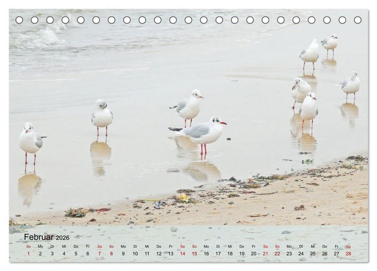 Produktbild: Ostseebad K&uuml;hlungsborn. Erholung mit allen Sinnen (Tischkalender 2026 DIN A5 quer), CALVENDO Monatskalender