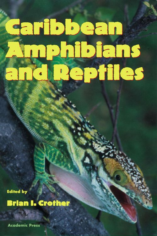 Produktbild: Caribbean Amphibians and Reptiles