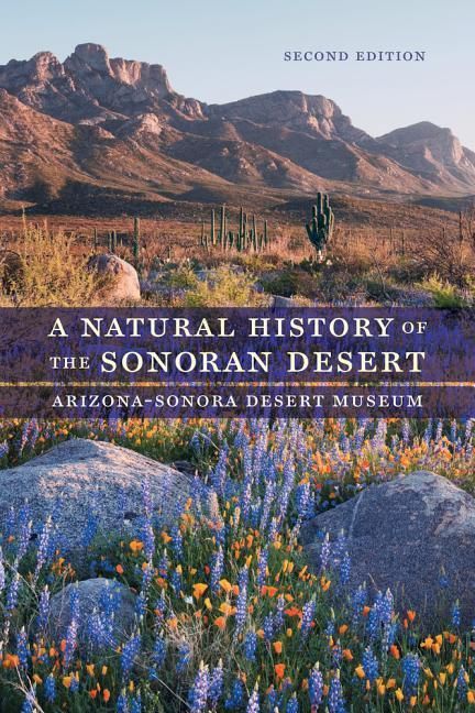 Produktbild: A Natural History of the Sonoran Desert