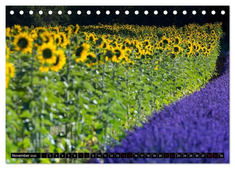 Produktbild: Provence im Rausch der Farben (Tischkalender 2026 DIN A5 quer), CALVENDO Monatskalender