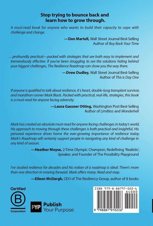 Produktbild: The Resilience Roadmap: 7 Guideposts for Charting Your Course in a Chaotic World