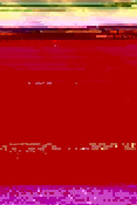 Produktbild: Absence of Mind